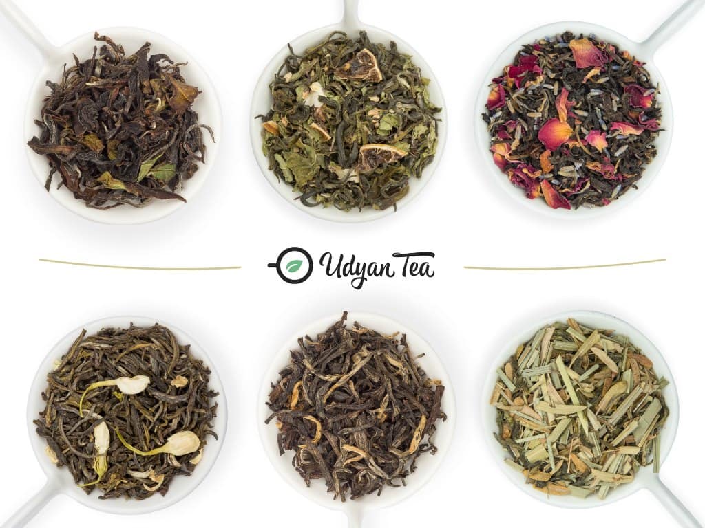 Darjeeling tea leaves variety udyan