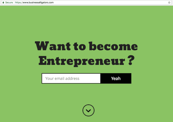 business alligators, want to become entrepreneu